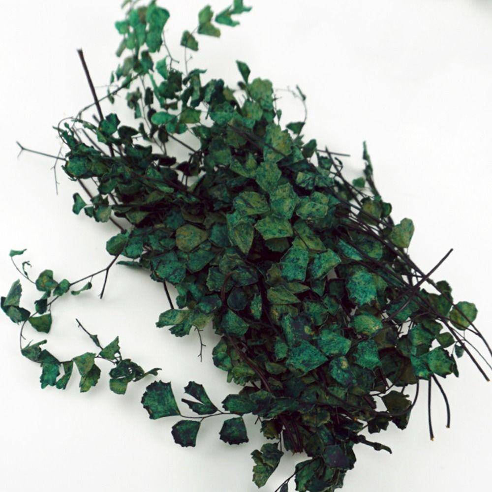 Miniature Plant Creepers Simul - Outdoor Furniture Cafe avaliação e preço