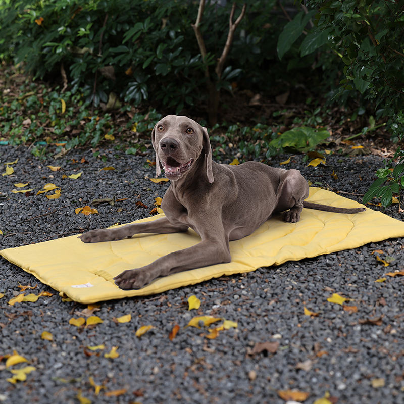 Portátil dobrável Pet Mat com  - Outdoor Rug Waterproof avaliação e preço